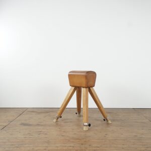 Leather gym bench